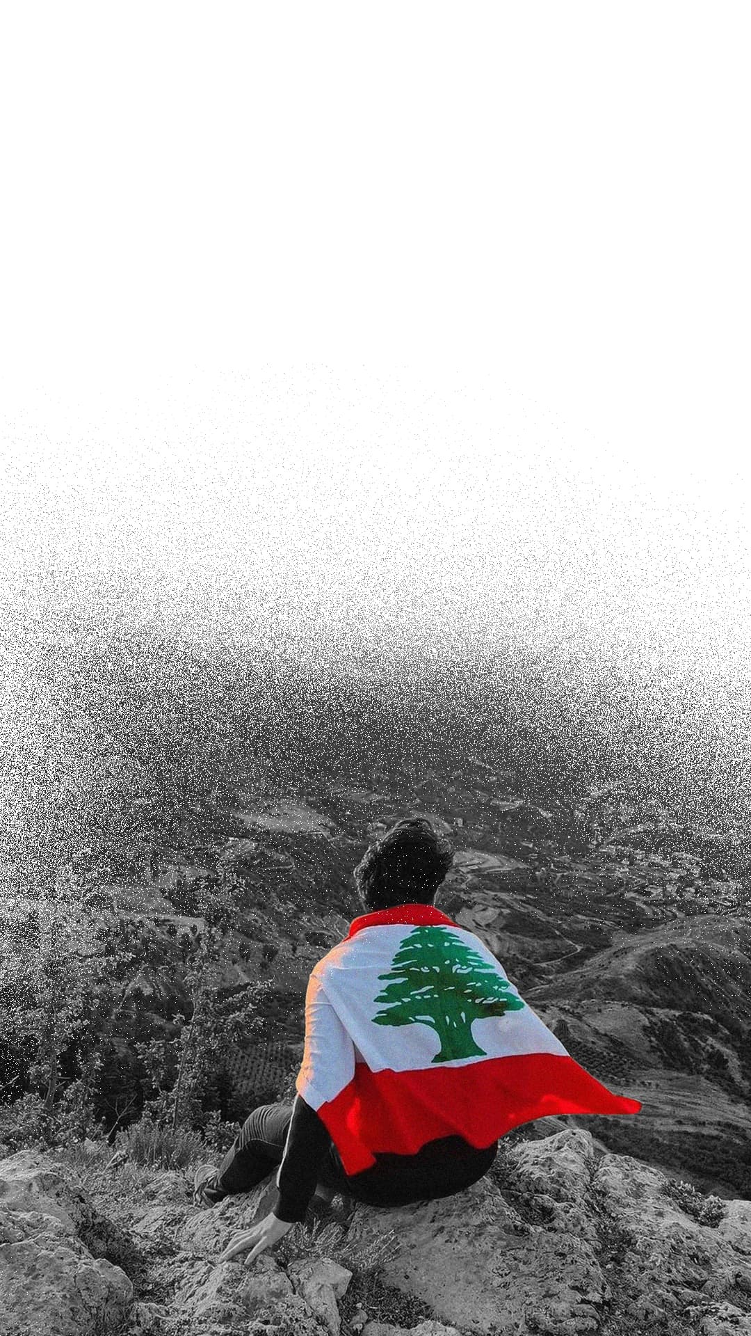 Global Lebanese Alliance - Our Vision